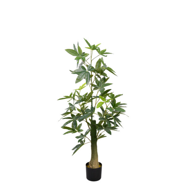 Arbore Pachira Glabra Adaugă un strop de eleganță cu Arborele Pachira Glabra artificial, înălțime 140 cm. Ideal pentru birou, living sau camere ale copiilor, oferă un aspect natural fără întreținere. Un obiect decorativ rafinat, perfect pentru orice spațiu!