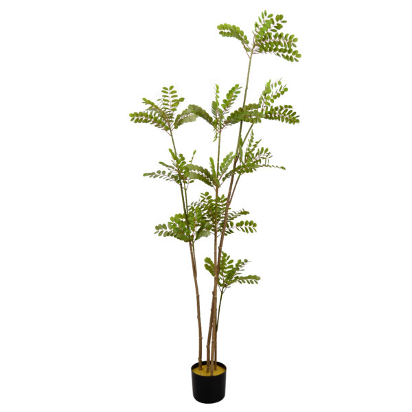 Arbore Phyllanthus Emblica Adaugă un strop de eleganță cu arborele Phyllanthus Emblica, perfect pentru birou, copii sau living. Înălțime de 160 cm și design realist, fără întreținere. O alegere ideală pentru decorativ, combinând stilul cu ușurința. Alege rafinamentul în decorul tău!