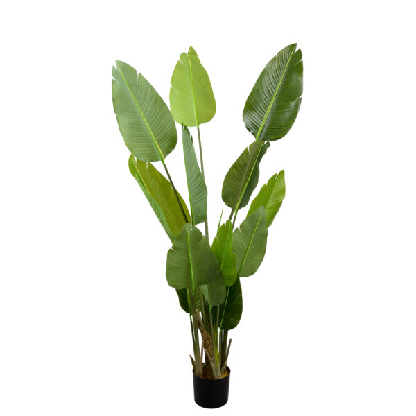 Arborele Strelitzia 170 cm Adaugă eleganță decorului tău cu Arborele Strelitzia de 170 cm! Ideal pentru birou, cameră copii sau living, acest arbore artificial imită perfect natura, oferind un aspect sofisticat fără întreținere. Perfect pentru orice spațiu, aduce un strop de rafinament!