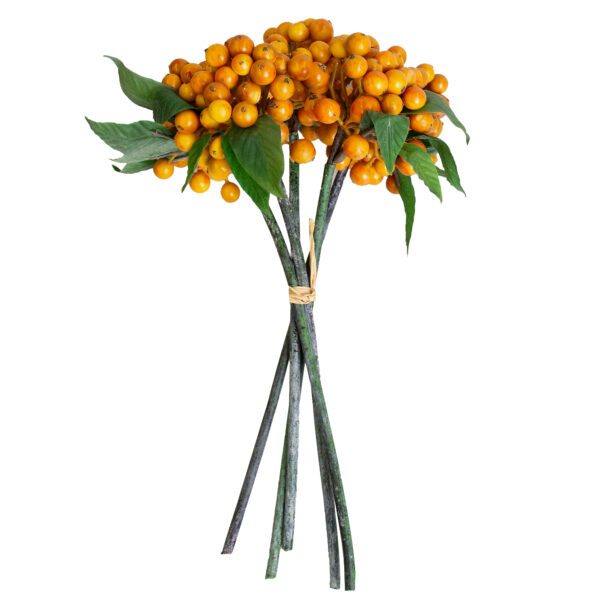 Floare Artificiala Piracanta Descoperă floarea artificială Piracanta, perfectă pentru a adăuga un strop de culoare vibrantă în decorul biroului, camerei de copii sau livingului. Detalii realiste, fără întreținere, pentru un accent floral elegant în orice spațiu.