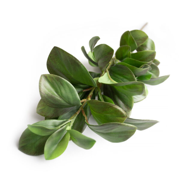 Ramura decorativa Peperomia Îmbogățiți-vă decorul cu Ramura decorativă Peperomia! Această ramură artificială, cu frunze mici și verzi strălucitoare, aduce un accent sofisticat și proaspăt în birou, camera copiilor sau living. Ideală pentru orice spațiu, adăugați o notă de eleganță naturală!