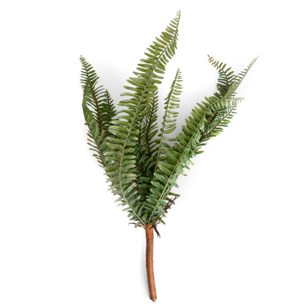 Ramura decorativa de Feriga Adăugați un accent elegant și natural în decorul dumneavoastră cu ramura decorativă de Feriga. Ideală pentru birou, cameră de copii sau living, această ramură artificială oferă o frumusețe luxuriantă și rafinament fără întreținere. Transformă-ți spațiul cu un obiect decorativ deosebit!