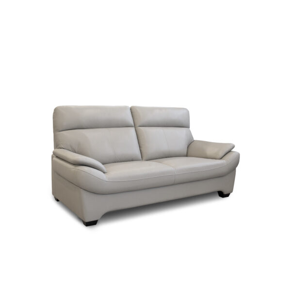 Fino Sofa Choose the Fino sofa in Grey, a perfect combination of elegance and comfort. Upholstered in natural leather with a sturdy wooden frame, it offers stability and a sophisticated design, ideal for any modern space. Transform your home into a relaxing corner!