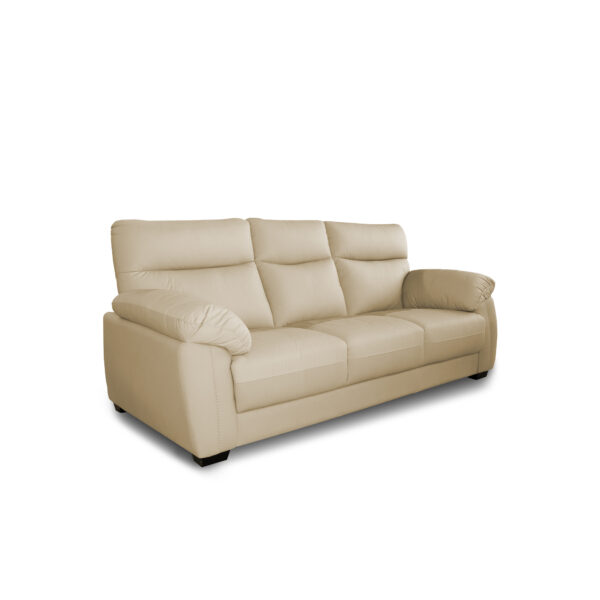 Nils 3 Sofa Discover the Nils 3 sofa, an ideal combination of comfort and style! With a sturdy frame and natural leather upholstery, it brings elegance to any space, whether at home or in the office. Perfect for relaxation, it offers excellent support thanks to its springs and polyurethane foam.
