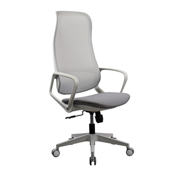 Fotoliu Birou Ted~Grey Descoperă fotoliul de birou Ted Grey, perfect pentru confortul zilnic. Cu un design ergonomic, tapițerie din plasă acrilică și mecanism Tilt, acest fotoliu combină stilul cu funcționalitatea. Ideal pentru biroul tău, oferă susținere optimă și mobilitate fluidă. Alege confortul!